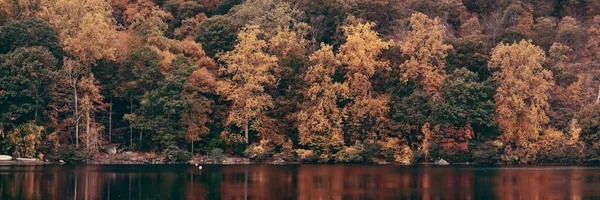 秋天五彩斑斓的树叶 湖面反射全景 — 图库照片