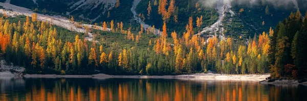Dolomites Feuillage Coloré Automne Avec Paysage Naturel Dans Nord Italie — Photo