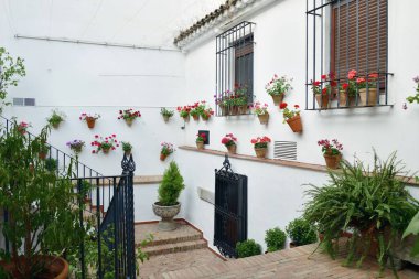 İspanya 'nın Cordoba kentindeki evin güzel çiçek süslemesi..