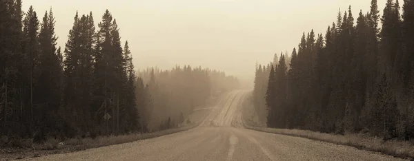 Foggy Road Forest Banff National Park — Stock Photo, Image