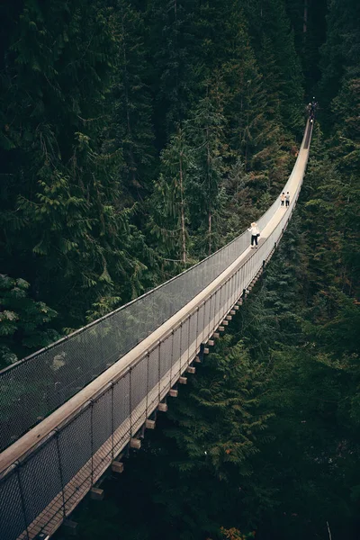 Capilano Suspension Bridge Vancouver Canada — Foto Stock
