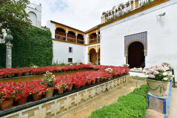 Casa Pilatos Bellissimi Modelli Decorazioni Giardino Siviglia Spagna — Foto Stock