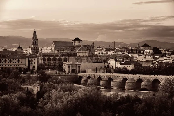 Moschee Kathedrale Alte Brücke Und Stadtsilhouette Von Córdoba Spanien — Stockfoto