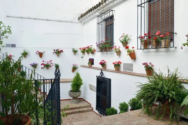 Vacker Blomsterdekoration Det Bofasta Huset Cordoba Spanien — Stockfoto