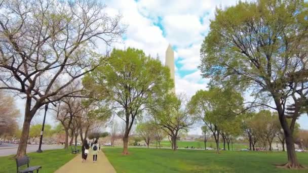 Washington Monumento Com Flor Cereja Como Marco Cidade Washington — Vídeo de Stock