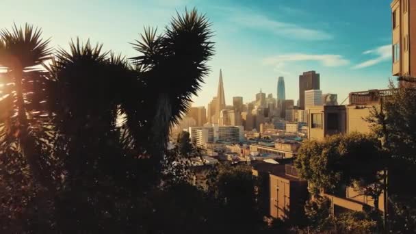 美国加利福尼亚州旧金山市中心日出时从公园观看 — 图库视频影像