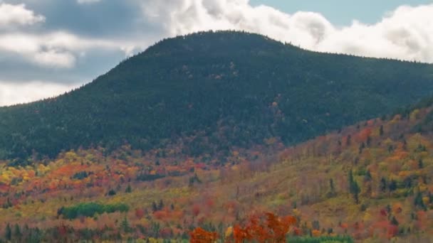White Mountain Jesienne Liści Czasu Upływu New Hampshire — Wideo stockowe