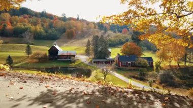 Vermont 'ta sonbahar yeşillikleri olan güzel renkleri 4k olan çiftlik evi.