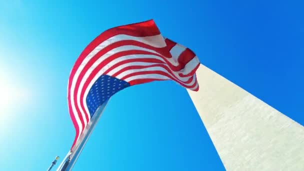Washington Anıtı Ulusal Bayrak Washington Nin Simgesi — Stok video