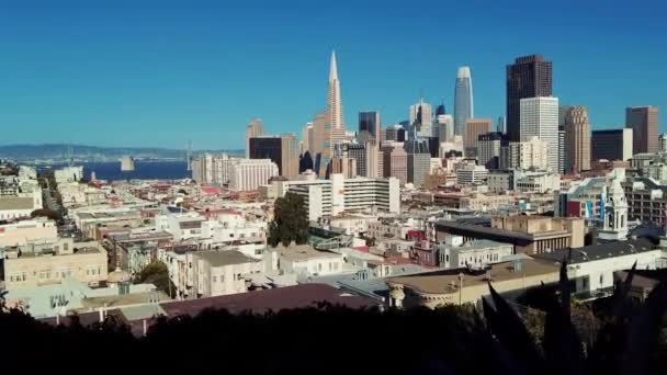 San Francisco Downtown Viewed Park California — Stock Video