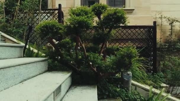 Chinese Tuin Met Traditioneel Tuinontwerp — Stockvideo