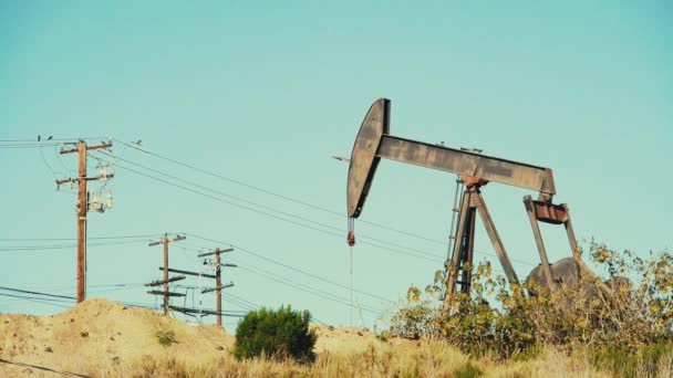 Πετρελαιουργική Μηχανή Στο Πεδίο Στο Λος Άντζελες Στην Καλιφόρνια — Αρχείο Βίντεο