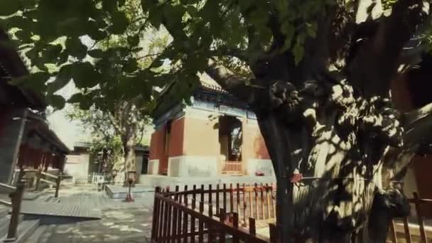 Beijing City Urban View Old Buildings China — Stock Video