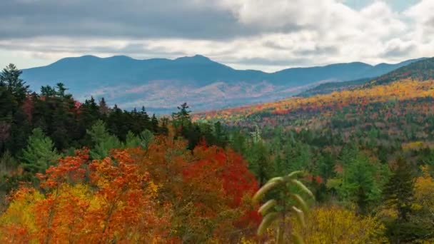 White Mountain Jesienne Liści Czasu Upływu New Hampshire — Wideo stockowe