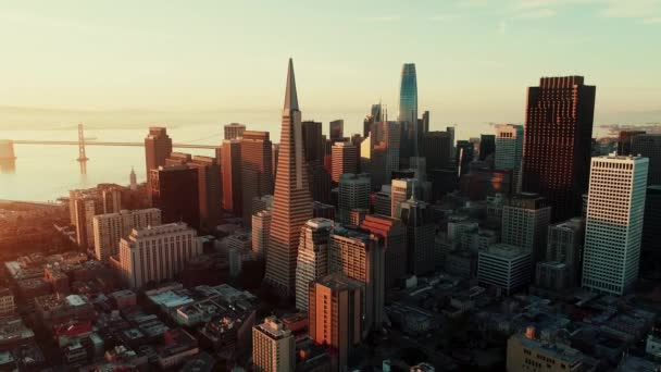 Vue Aérienne Centre Ville San Francisco Avec Des Gratte Ciel — Video