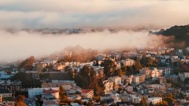 サンフランシスコ市霧 — ストック動画