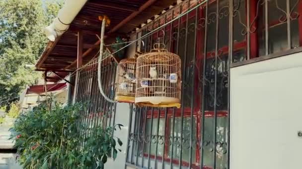 Pékin Vue Sur Rue Urbaine Avec Des Bâtiments Chine — Video