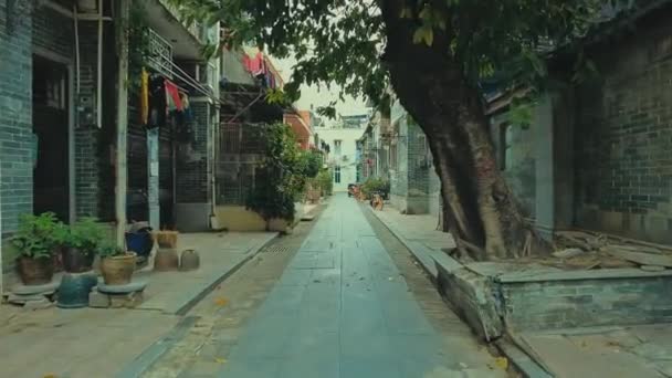 광저우 2021년 10월 — 비디오