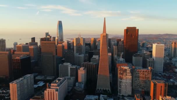 San Francisco Stadt Sonnenaufgang Luftaufnahme — Stockvideo