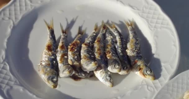 Sardinas Parrilla Málaga España — Vídeos de Stock