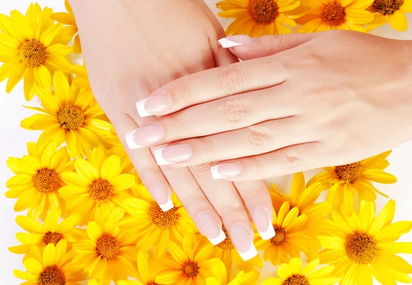 Uñas y flores Imagen de stock