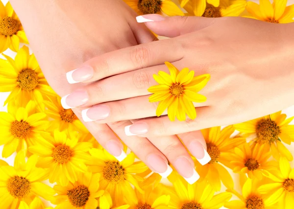 Fingernägel und Blumen Stockbild