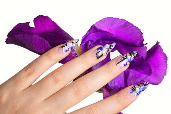 Nagels en bloem Stockfoto