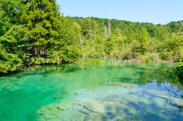 Plitvice 호수 국립 공원 , croatia — 스톡 사진