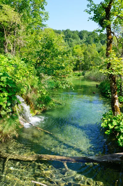 Plitvicemeren nationaal park, Kroatië — Stockfoto