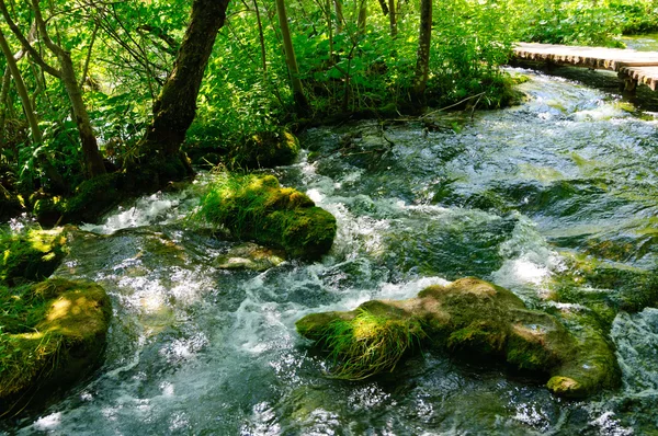 Plitvicemeren nationaal park, Kroatië — Stockfoto