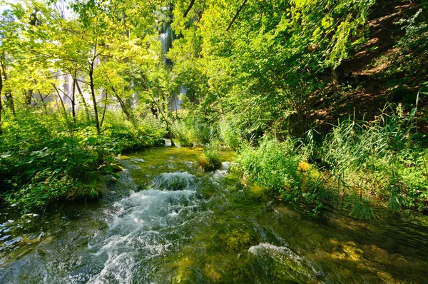 Plitvice gölleri ulusal park, Hırvat — Stok fotoğraf