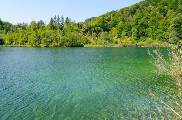 Laghi plitvice parco nazionale, croazia — Foto Stock