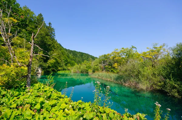 Национальный парк "plitvice lakes", Хорватия — стоковое фото