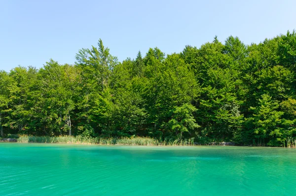Plitvicemeren nationaal park, Kroatië — Stockfoto