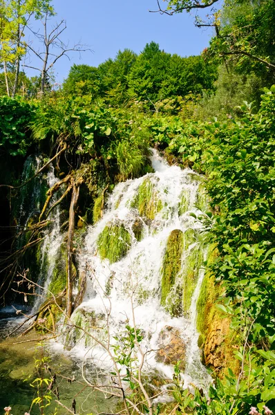 Plitvice lacs parc national, croatie — Photo