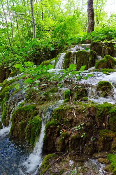 Plitvice lagos parque nacional, croácia — Fotografia de Stock