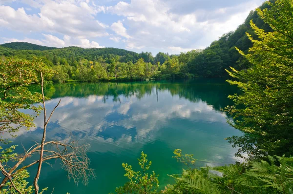 Jeziora plitvice park narodowy, Chorwacja — Zdjęcie stockowe
