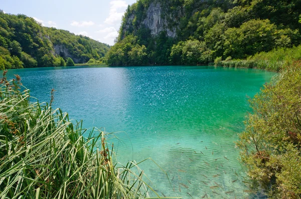 Plitvice Lakes National Park, Croatia Stock Picture