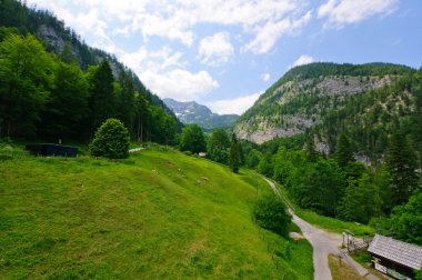 altın sikke ve dices küp kelime se ile düşüş trendi grafik