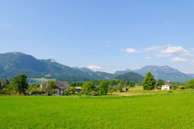 Alpler ve teraslı Avusturya