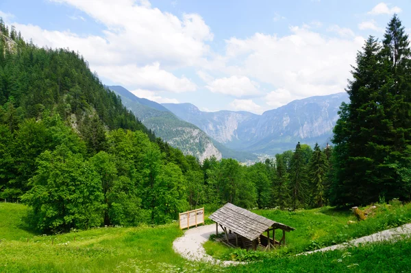 Alpen en de salzbergwerk in hallstatt, Oostenrijk — Stockfoto