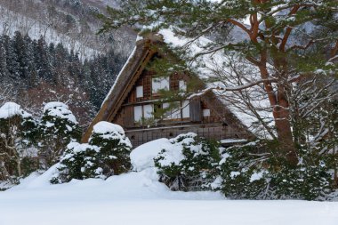 shirakawa-go kışın tarihi Köyü