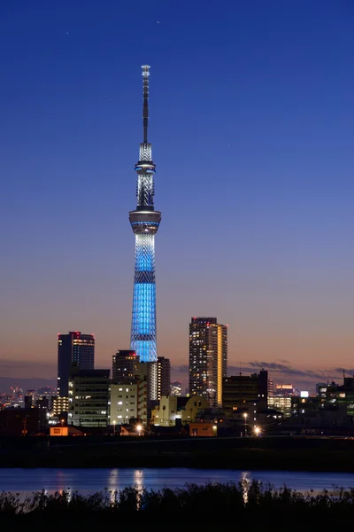 Tokyo Sky Tree au crépuscule — Photo