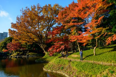 Tokyo Koishikawa korakuen Bahçe Güz