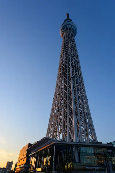 Tokyo Sky Tree i skumringen - Stock-foto