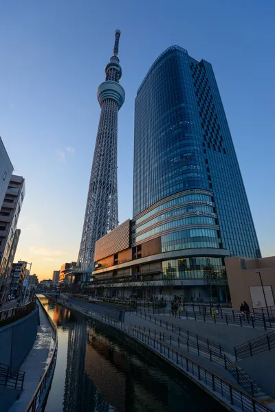 Tokyo Sky Tree на закате — стоковое фото