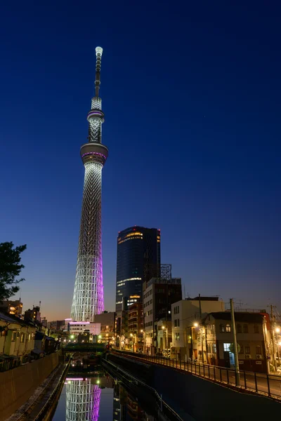 Drzewo niebo Tokio o zmierzchu — Zdjęcie stockowe