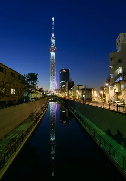 Tokyo Sky Tree au crépuscule — Photo