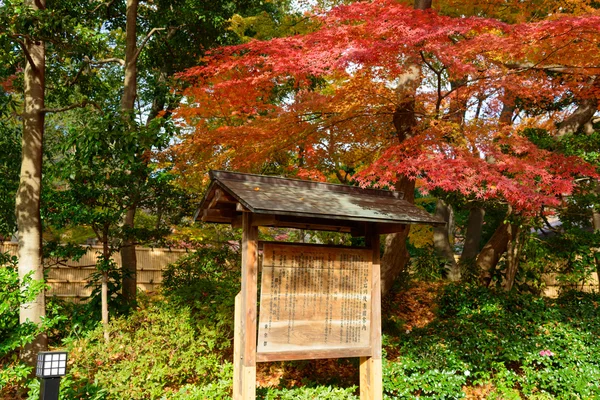 Koishikawa korakuen zahrada na podzim v Tokiu — Stock fotografie