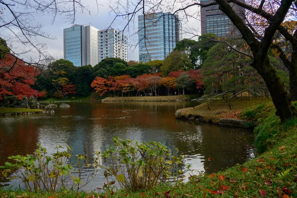 Jardín Koishikawa Korakuen en otoño en Tokio — Foto de Stock